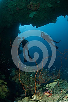 Divers, sponge, wire corals in Ambon, Maluku, Indonesia underwater photo