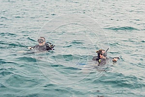 Divers on the surface of water ready to dive