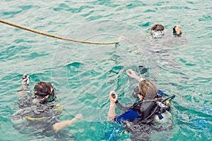 Divers on the surface of water ready to dive