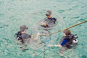 Divers on the surface of water ready to dive