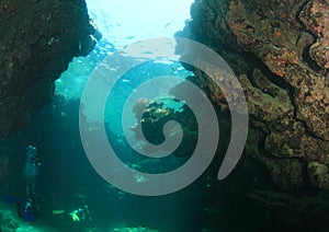 Divers swimming in undersea rift