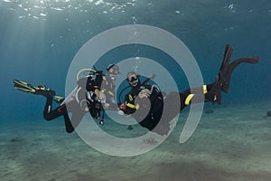 Divers under the sea