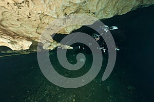 Divers underwater caves diving Florida America