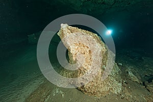 Divers underwater caves diving Florida Jackson Blue cave USA