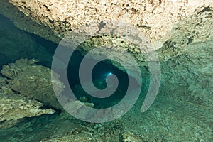 Divers underwater caves diving Florida Jackson Blue cave USA