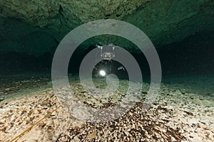 Divers underwater caves diving Florida Jackson Blue cave USA