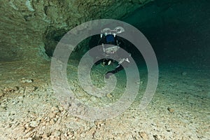 Divers underwater caves diving Florida Jackson Blue cave USA