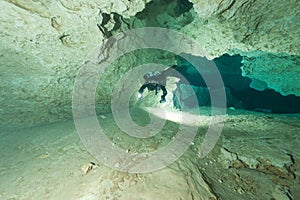 Divers underwater caves diving Florida Jackson Blue cave USA