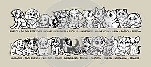 Diverse array of dog and cat breeds, showcased with charm, perfect for pet lovers' merchandise, educational books