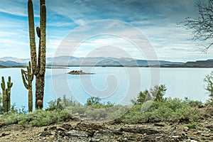 The Diverse Beauty of the Desert Landscape of Arizona