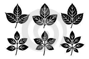 Diverse Black Leaf Silhouettes Set - Vector Graphic Icons