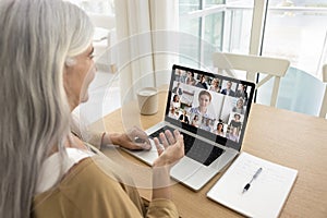 Diverse colleagues meeting online, talking on group video call