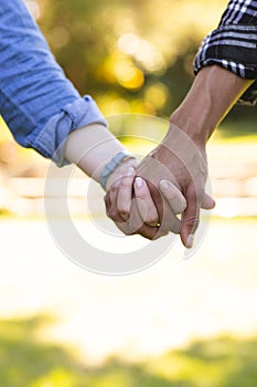 Diverse couple holding hands in sunny garden, copy space