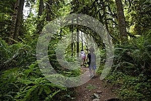 Diverse family walking in the lush woods of the Pacific Northwest.