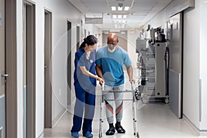 Diverse female doctor helping senior male patient use walking frame in hospital corridor, copy space