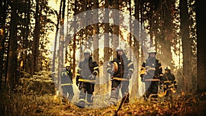 Diverse Five-Person Squad of Male and Female Firefighters Walking Deep in a Dangerous Wildland Fire