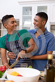 Diverse gay male couple spending time in kitchen embracing and smiling