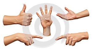 Diverse Hand Gestures on White Background