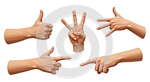 Diverse Hand Gestures on White Background