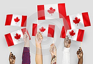 Diverse hands waving flags of Canada