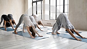 Diverse healthy people practicing downward facing dog pose.