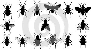 Diverse Insect and Bug Silhouettes Collection