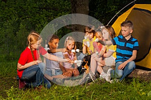 Diverse kids with marshmallow treat near bonfire