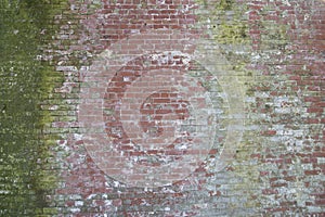 Diverse older red brick wall with green moss