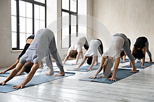 Diverse people doing Downward facing dog exercise, practicing yoga