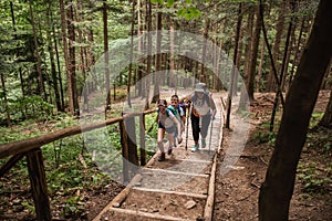 Diverse people hiking up trail stairs in a forest