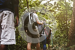 Diverse people Trekking in a forest