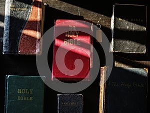 Diverse religious shoot
