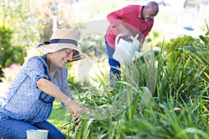 Diverse senior couple gardening in sunny garden