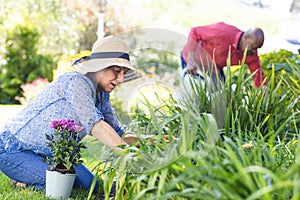 Diverse senior couple gardening in sunny garden