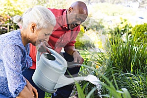 Diverse senior couple gardening in sunny garden