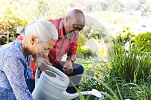 Diverse senior couple gardening in sunny garden