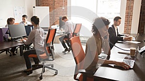 Diverse staff employees group working on computers in modern office