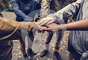 Diverse team building in the forest