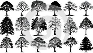 Diverse Tree Silhouettes Collection