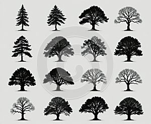 Diverse Tree Silhouettes Collection