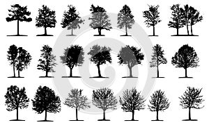 Diverse Tree Silhouettes Vector Collection