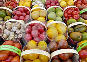 Diverse types of tomato on sale at the Jean-Talon Market in Montreal, Canada