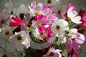 Diversicolored bouquet