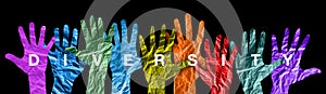 Diversity concept. Diverse group of multiethnic multicultural people hands silhouette