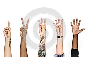 Diversity hands with numeric signs