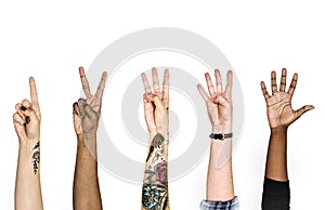 Diversity hands with numeric signs photo