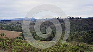 The diversity of nature and the mountains of Andrelândia