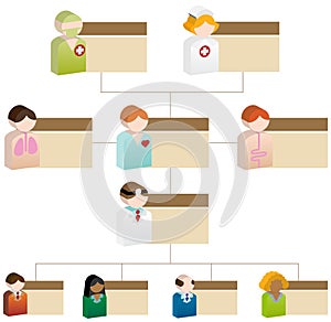 Diversity Organizational Chart - 3D Healthcare