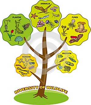 Diversità da animali e piante 