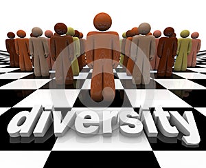 Diversity - Word and People on Chessboard